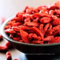 Professional supplier price dried organic goji berry